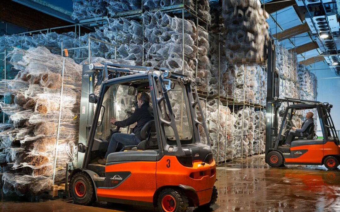 A Guide to Cold Storage Forklifts