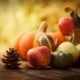 Happy Thanksgiving from HTX Material Handling! HTX Material Handling, Houston