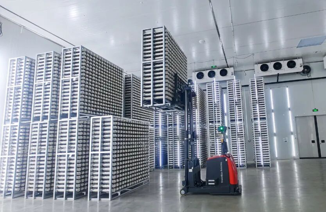 Mobile Automation Whole Room Racks